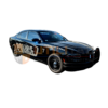 Dodge Charger Pursuit with a Police Bumper