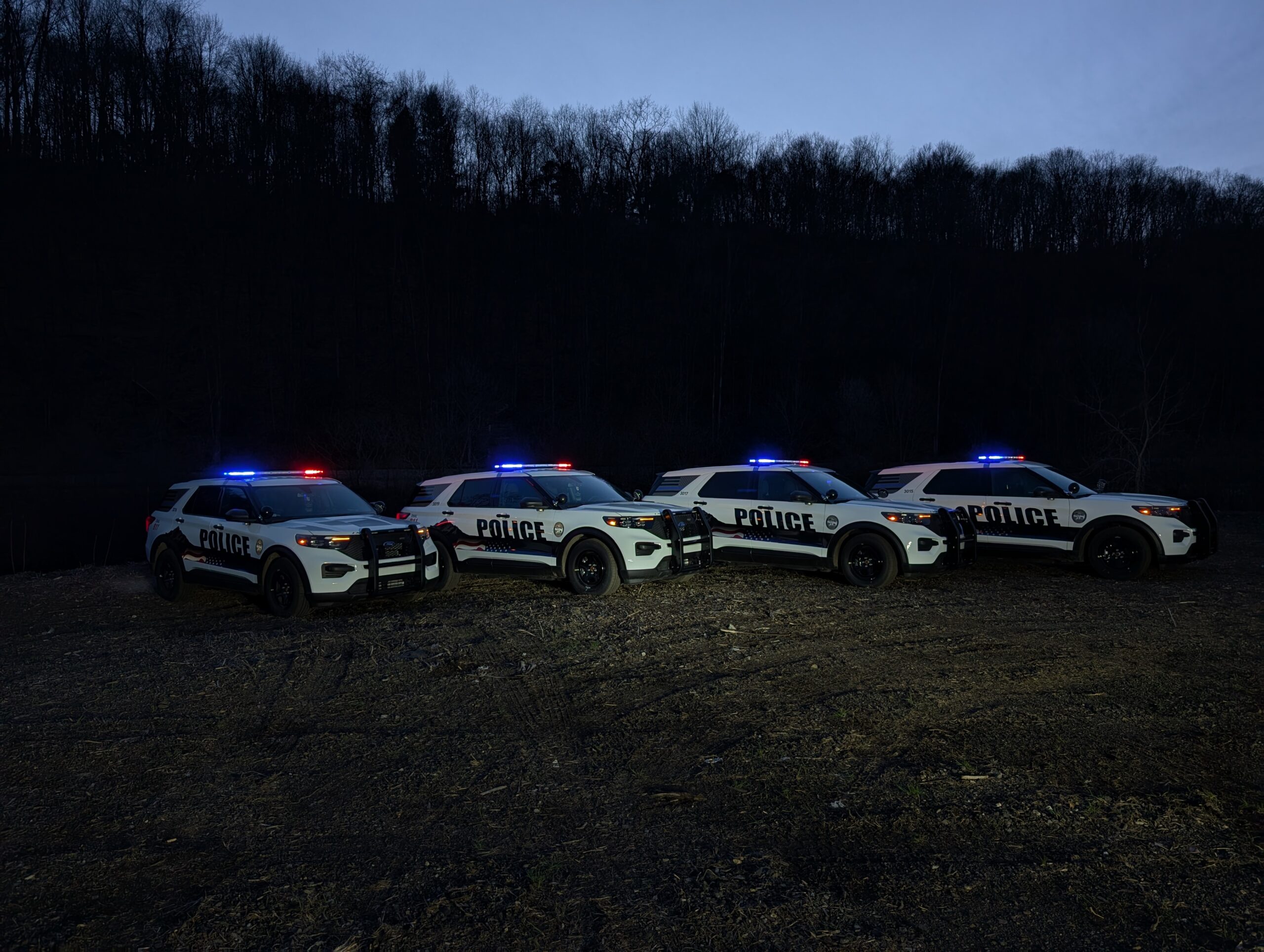 police cars lined up for sale